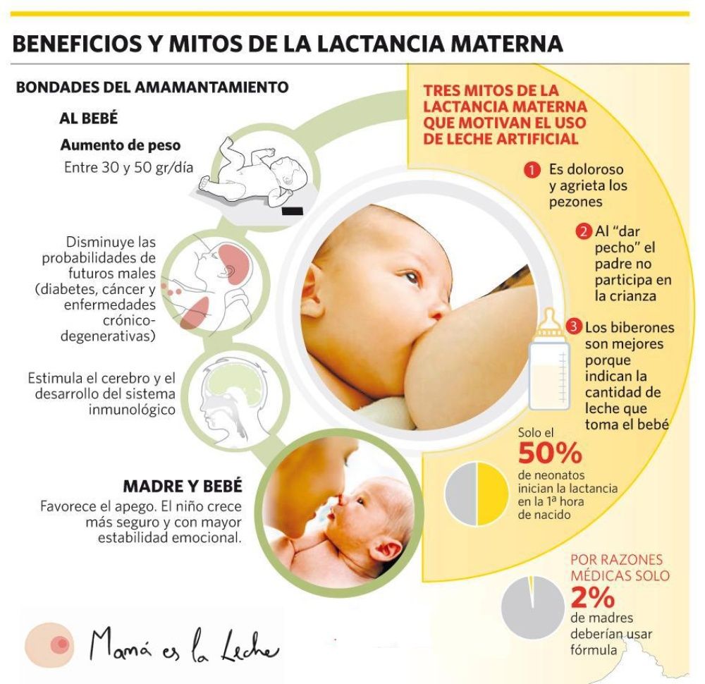 Imagen de los beneficios y mitos de la lactancia materna